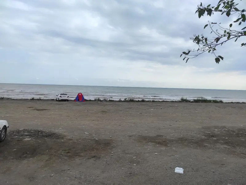 ساحل خلج - تصویر 1