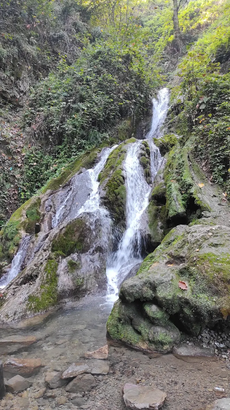 جنگل کبودوال - تصویر 6