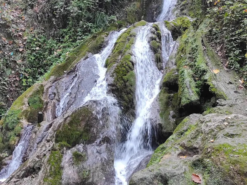 جنگل کبودوال - تصویر 6