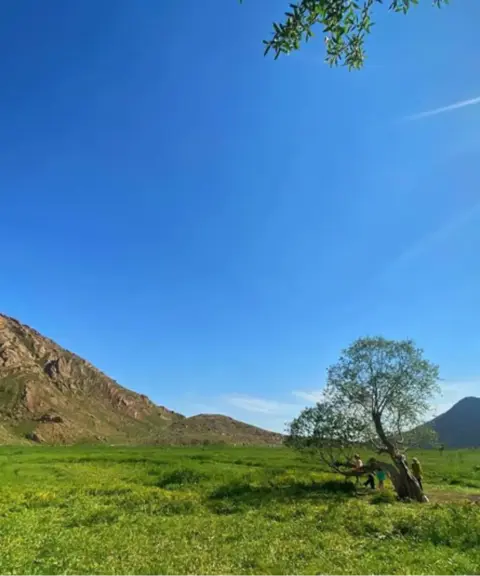 دشت هویج، تهران