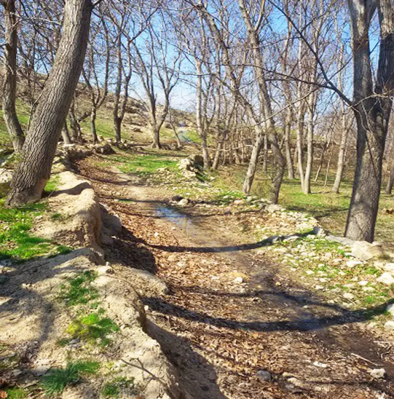 روستای چورس - تصویر 7