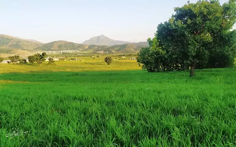تفرجگاه سورین - تصویر 2