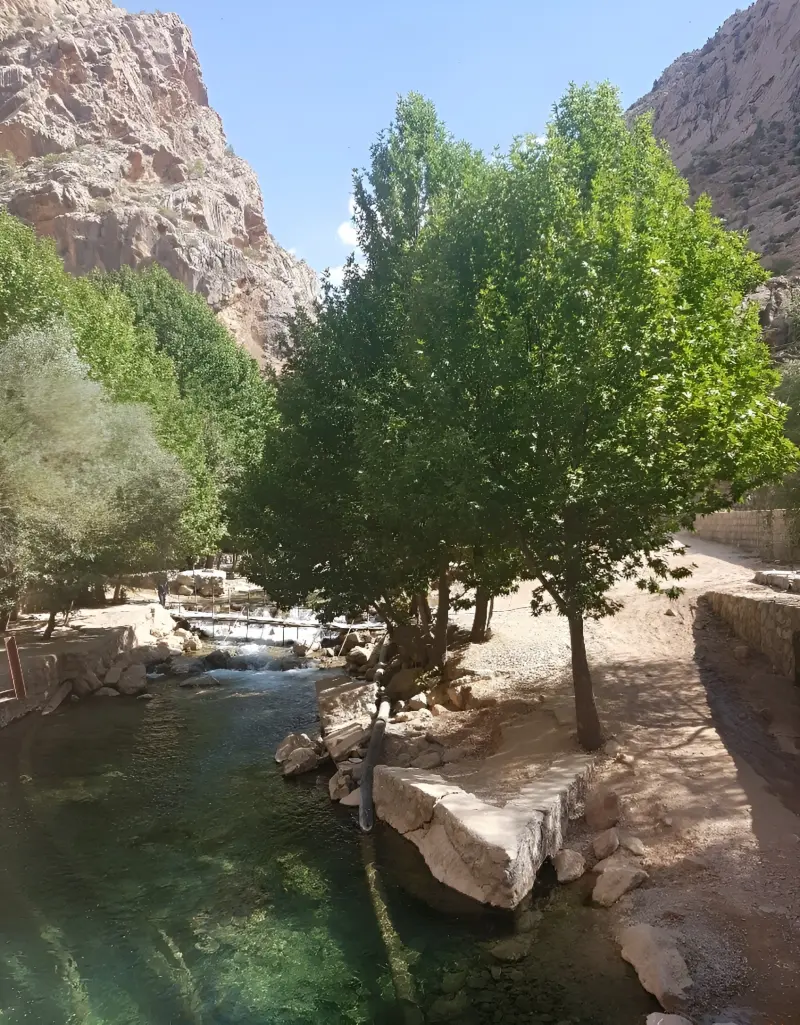 چشمه ناز ونک - تصویر 7