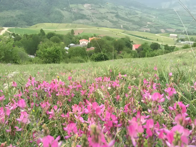 روستای لمرد - تصویر 2