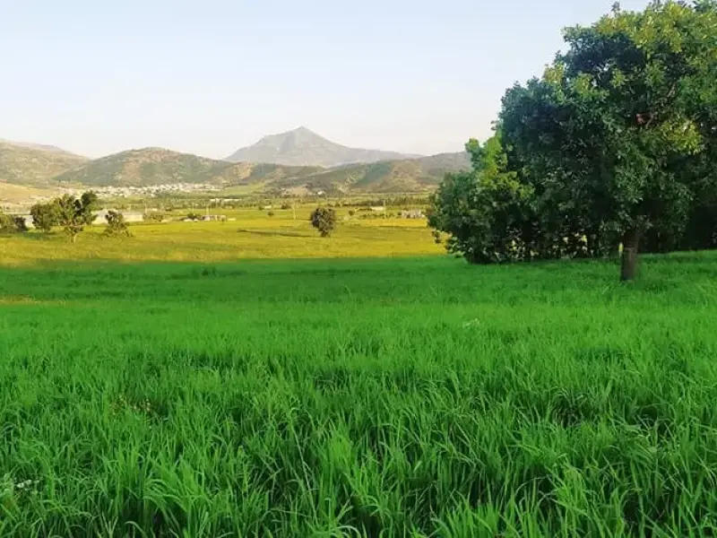 تفرجگاه سورین - تصویر 2