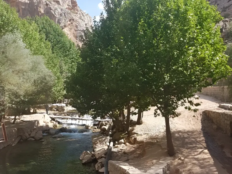چشمه ناز ونک - تصویر 7