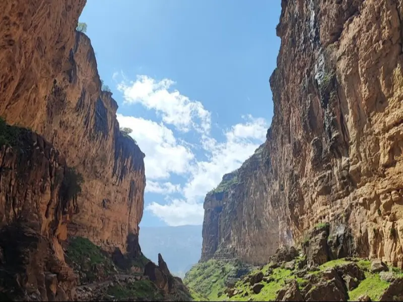 تنگ زرانگوش