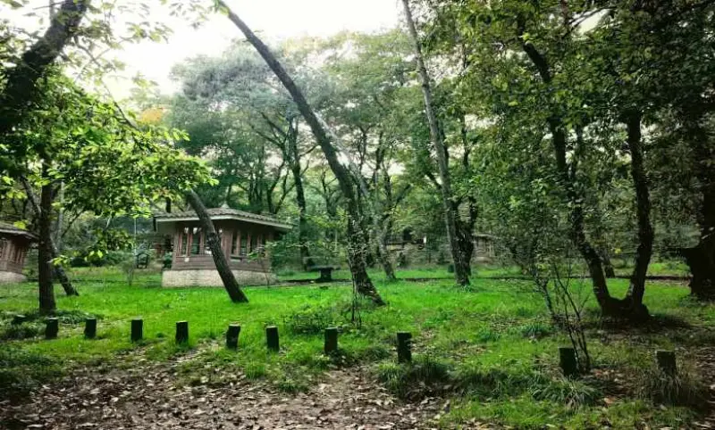 پارک جنگلی شهید زارع - تصویر 4