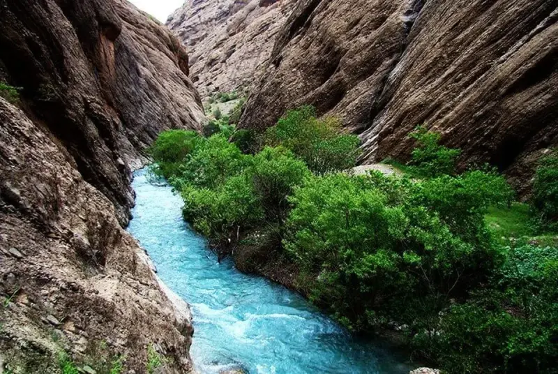 دره نی‌گاه - تصویر 4