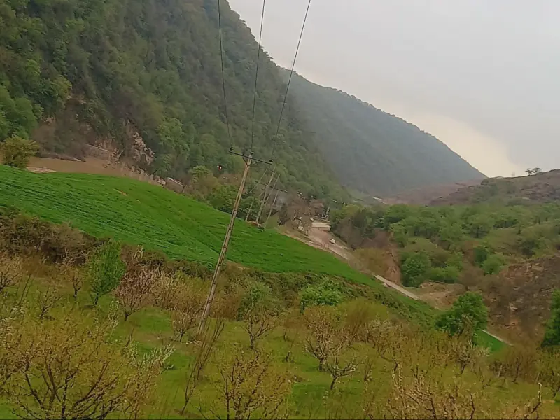 پارک جنگلی گالیکش