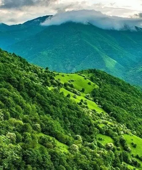 جنگل ارسباران، آذربایجان شرقی