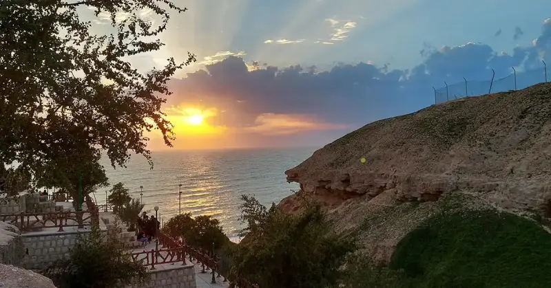 ساحل ریشهر - تصویر 4