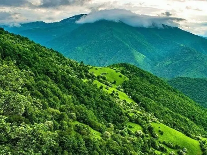 جنگل ارسباران