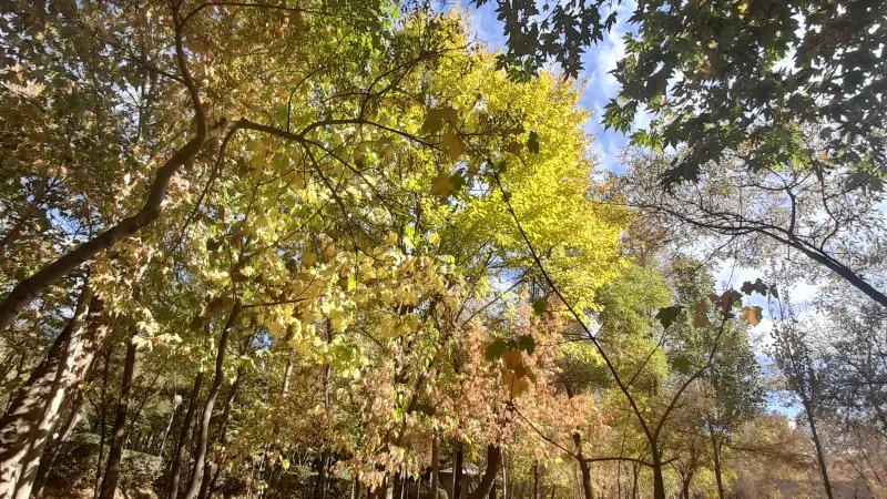 پارک وکیل‌آباد - تصویر 4