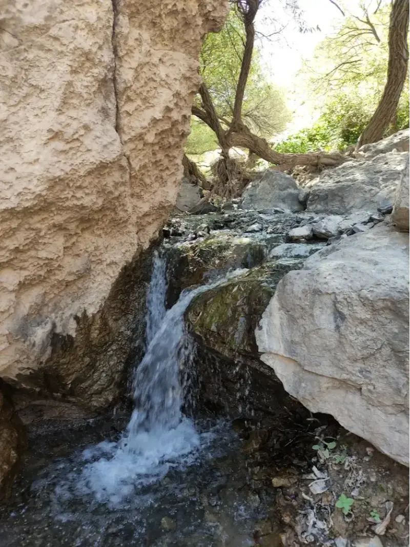 آبشار زاوین - تصویر 10