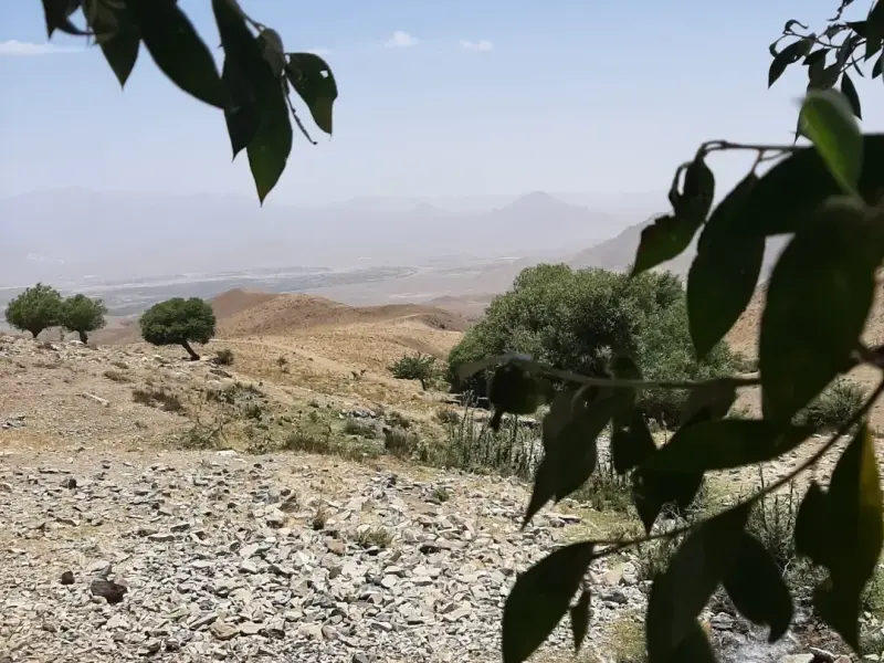 روستای ویدوجا