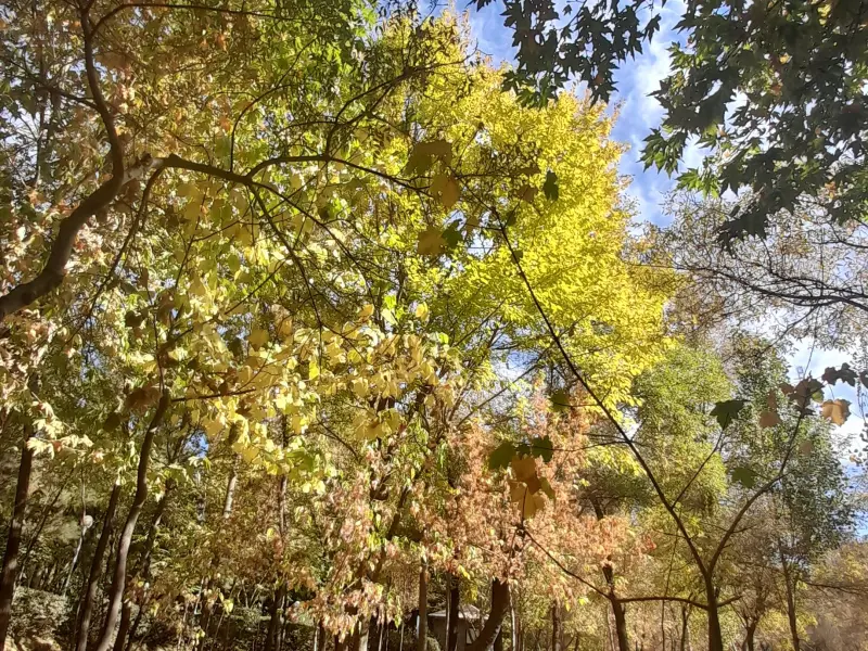 پارک وکیل‌آباد - تصویر 4