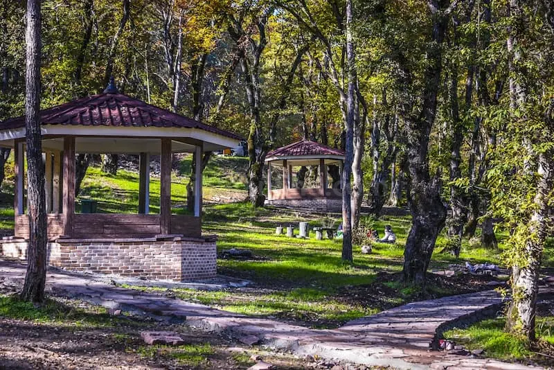 جنگل سی‌سنگان - تصویر 2