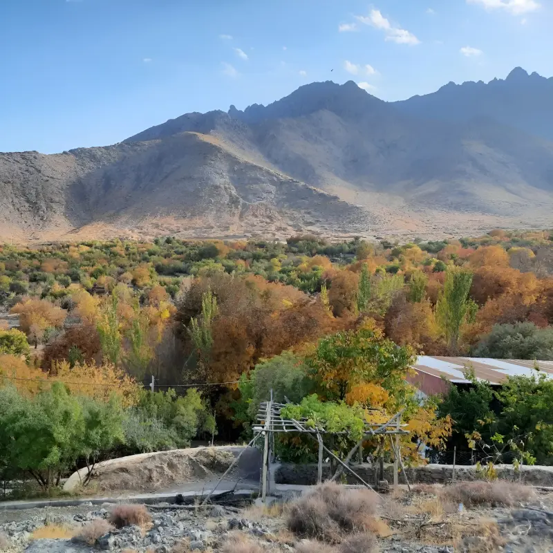 روستای طامه - تصویر 7