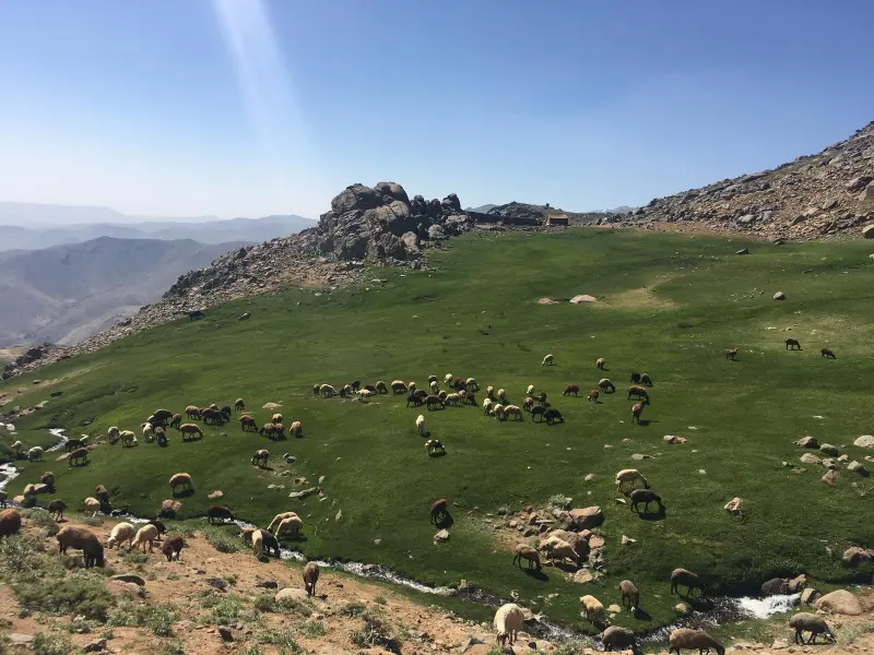 تخت نادر - تصویر 1