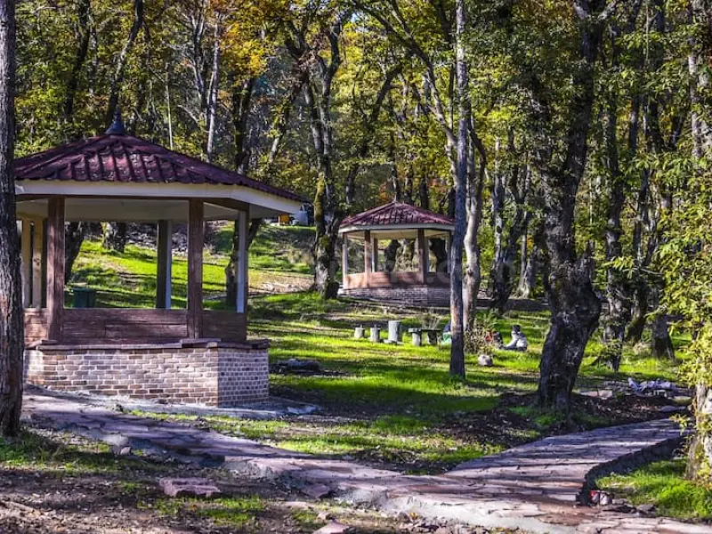 جنگل سی‌سنگان - تصویر 2