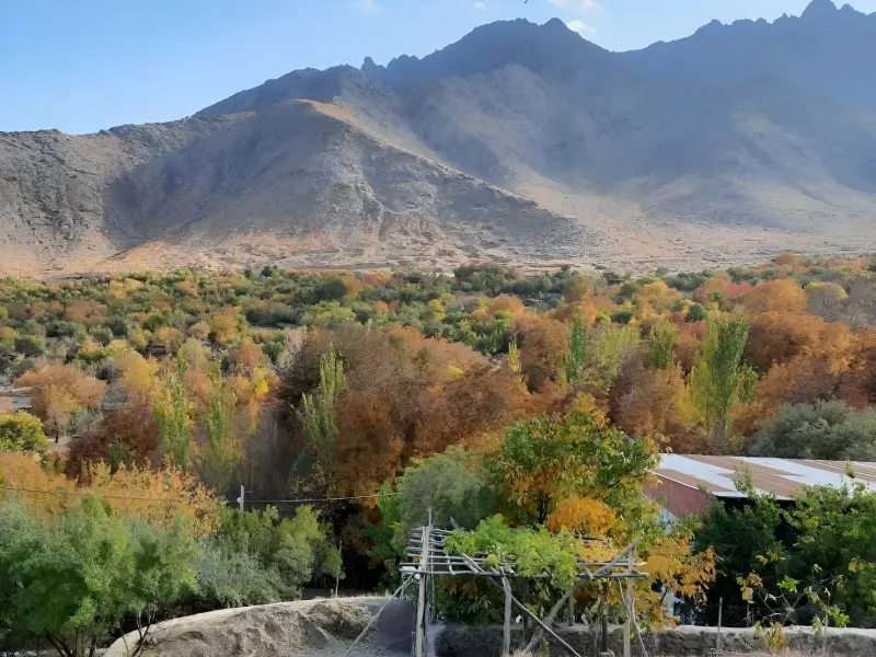 روستای طامه - تصویر 7