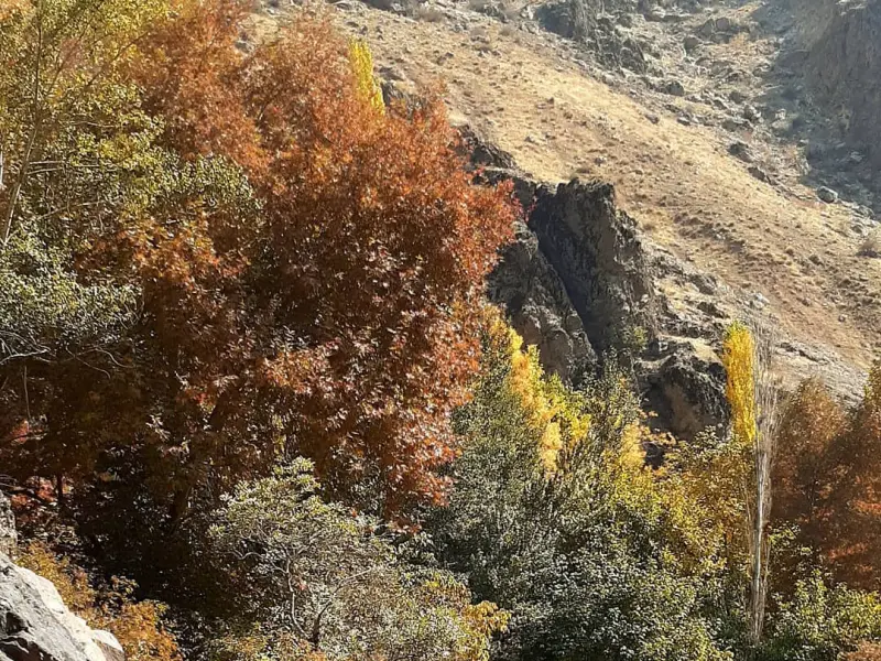 آبشار پسنگ - تصویر 3