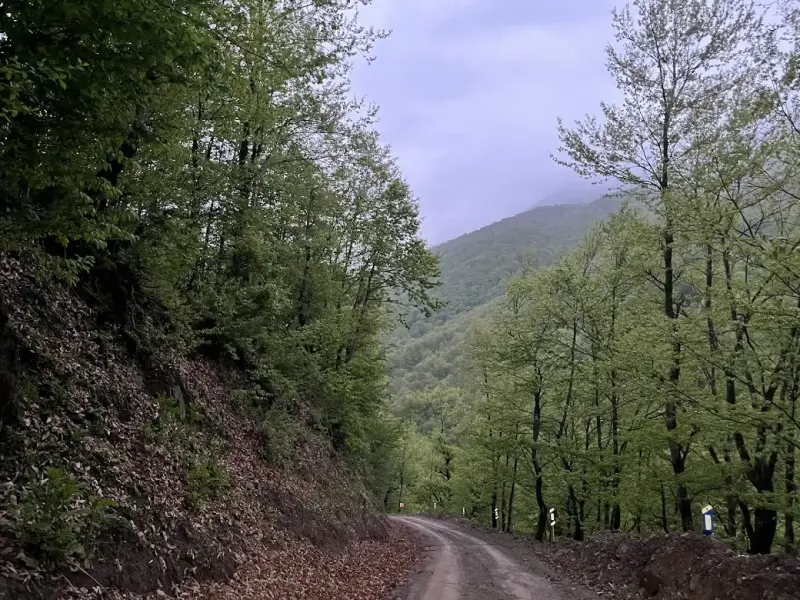 روستای پی رجه - تصویر 1
