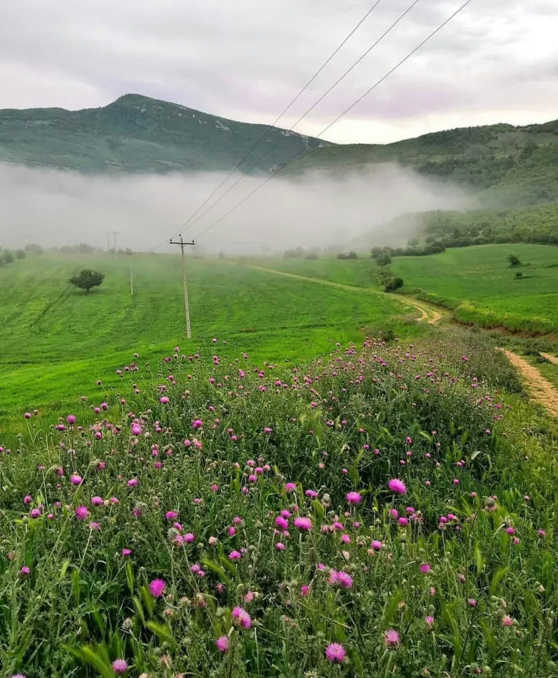 روستای استارم - تصویر 2