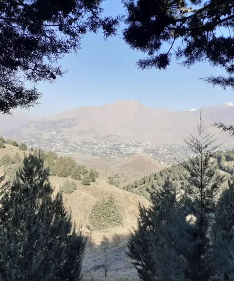 پارک جنگلی تلو، تهران