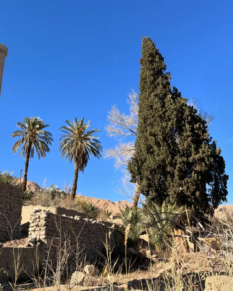 روستای ایراج - تصویر 12