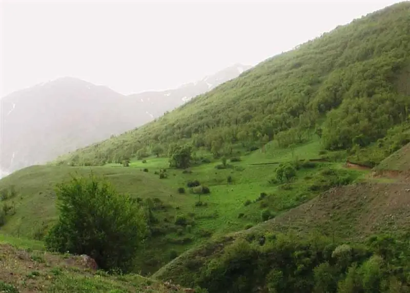 منطقه حفاظت‌شده انگوران - تصویر 2