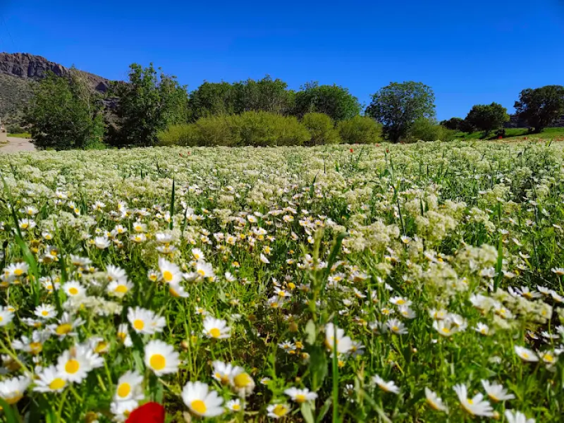 روستای سرمرغ - تصویر 2