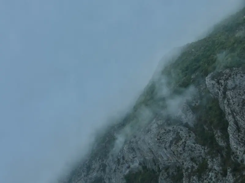جنگل فینسک - تصویر 3