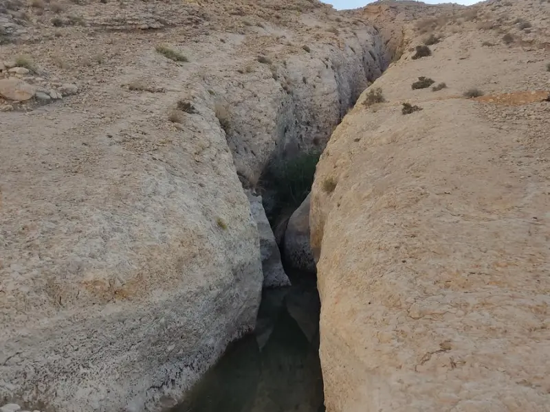 تنگ هیخ - تصویر 1