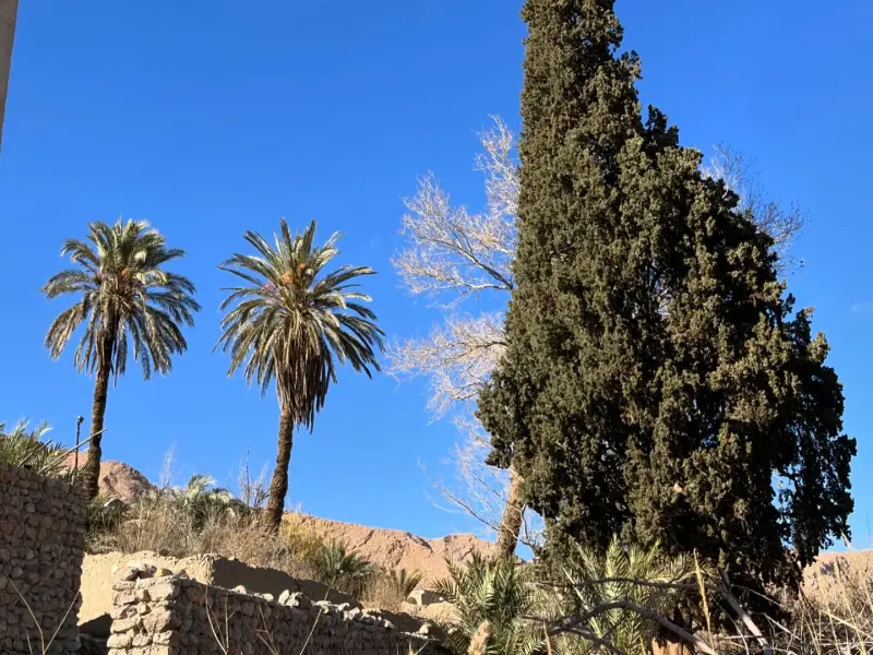 روستای ایراج - تصویر 12