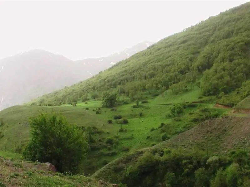 منطقه حفاظت‌شده انگوران - تصویر 2