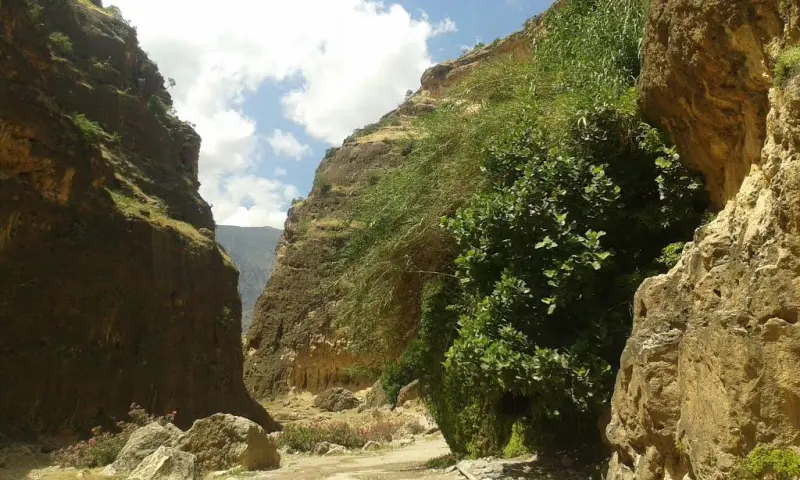 تنگ زرانگوش - تصویر 1