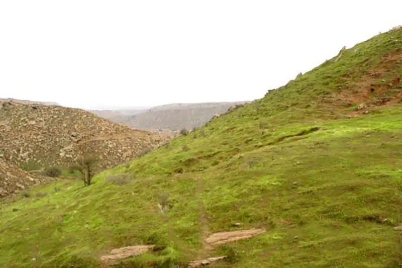 منطقه حفاظت‌شده کرایی - تصویر 5