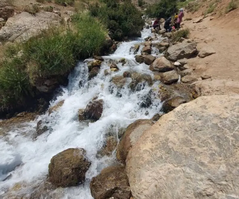چشمه میشی - تصویر 1