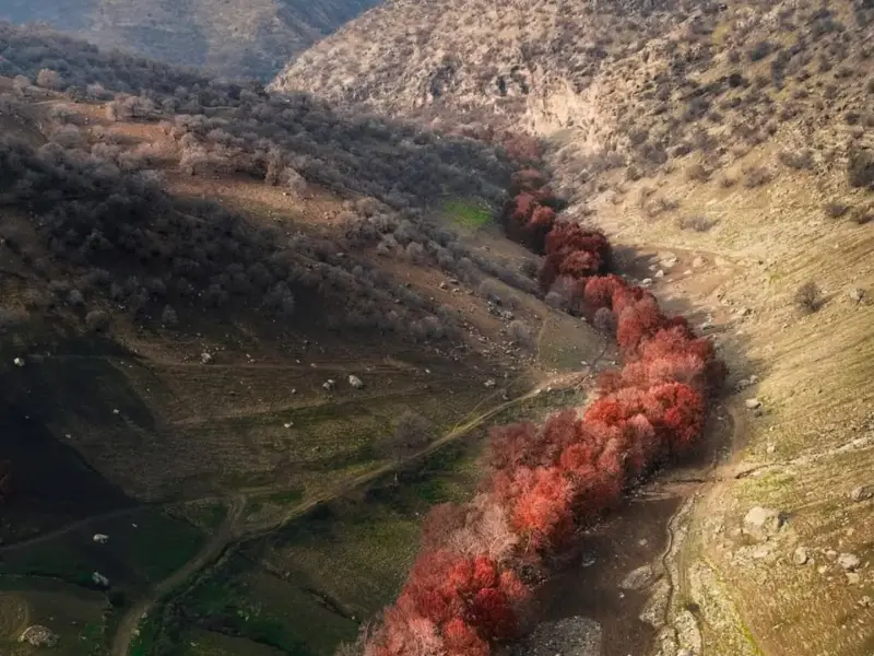 روستای کلهو - تصویر 1