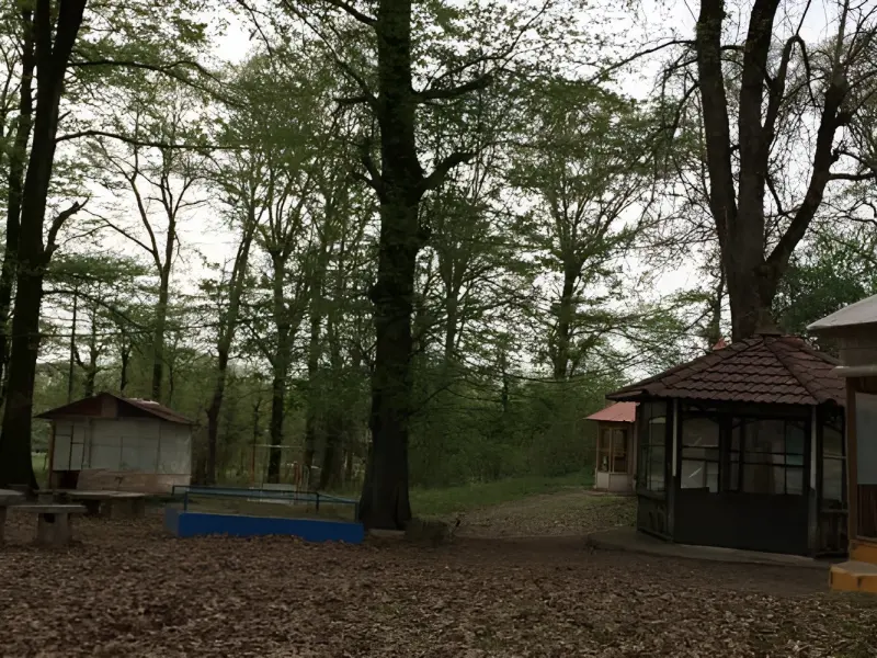 پارک جنگلی میرصفا
