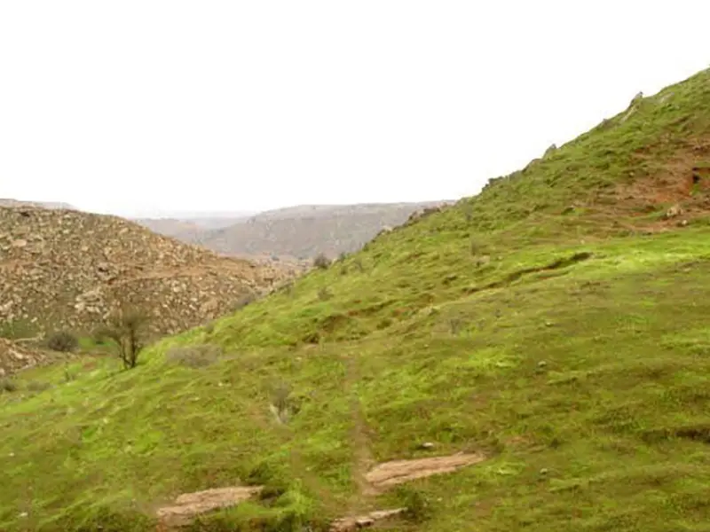 منطقه حفاظت‌شده کرایی - تصویر 5