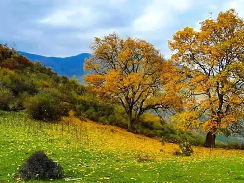 روستای فشکور - تصویر 4