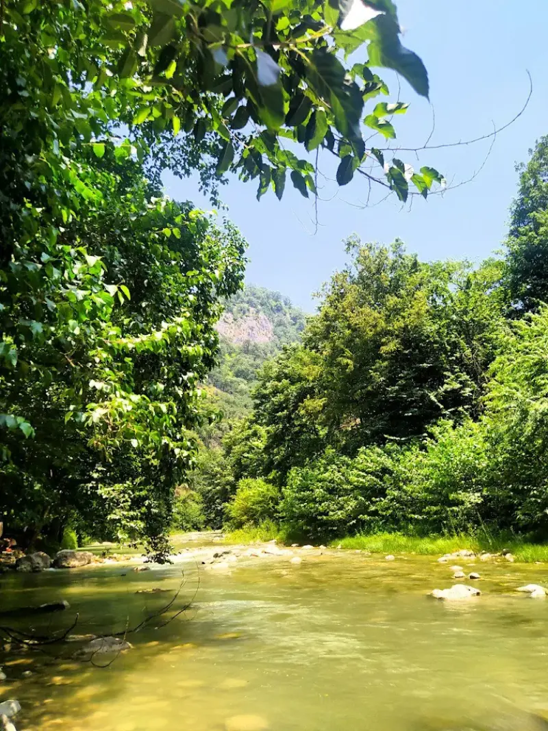 پارک جنگلی مهربان رود - تصویر 7