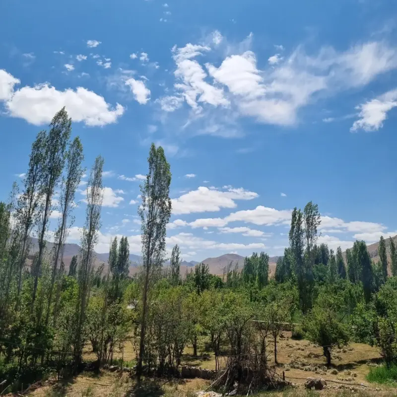 روستای بلغور - تصویر 4