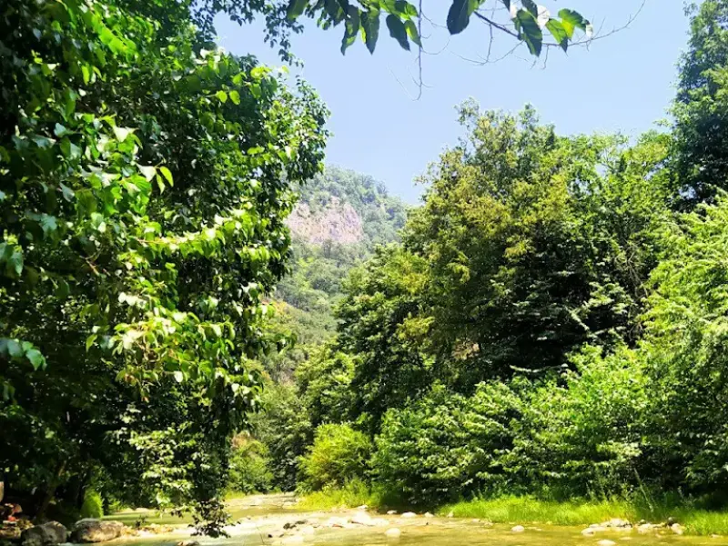پارک جنگلی مهربان رود - تصویر 7