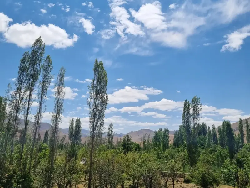 روستای بلغور - تصویر 4