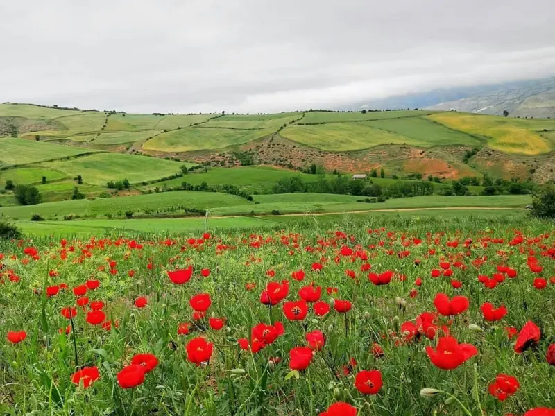 روستای استارم - تصویر 5