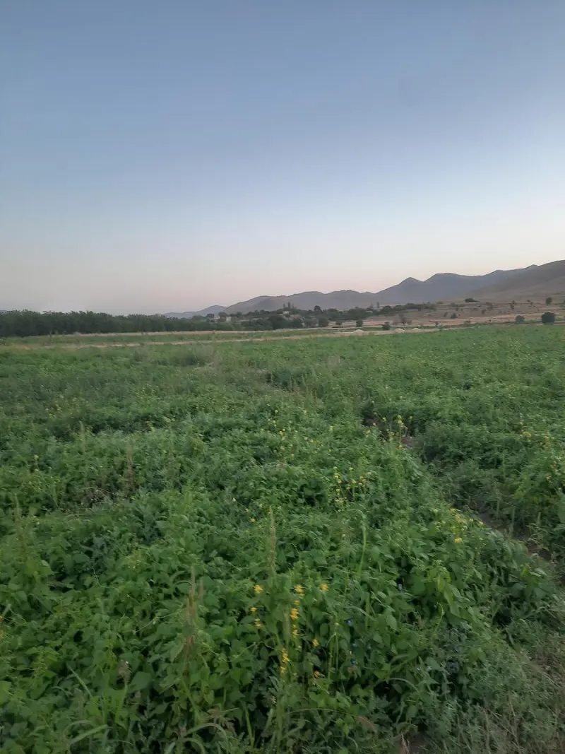 قله همایون کوه - تصویر 2